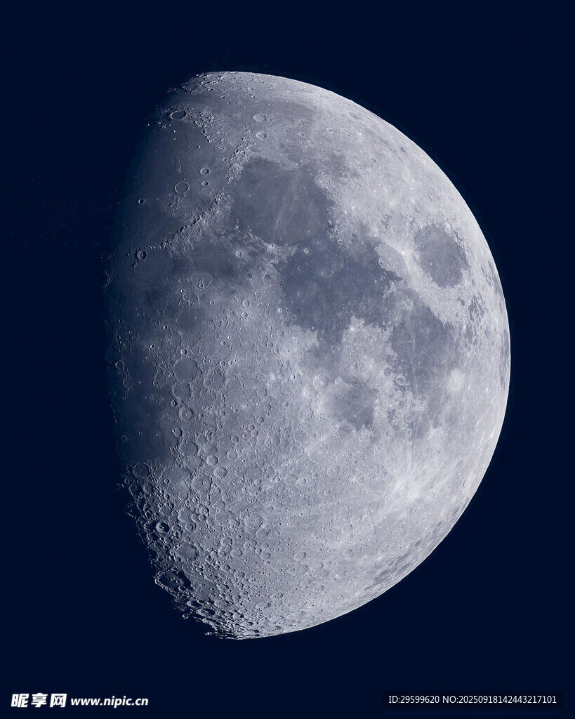 半月高悬夜空