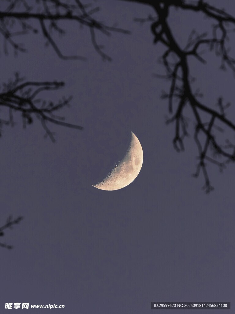 夜空中的弯弯新月