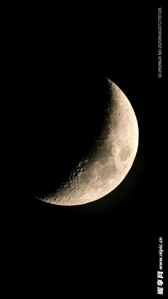 新月悬于夜空
