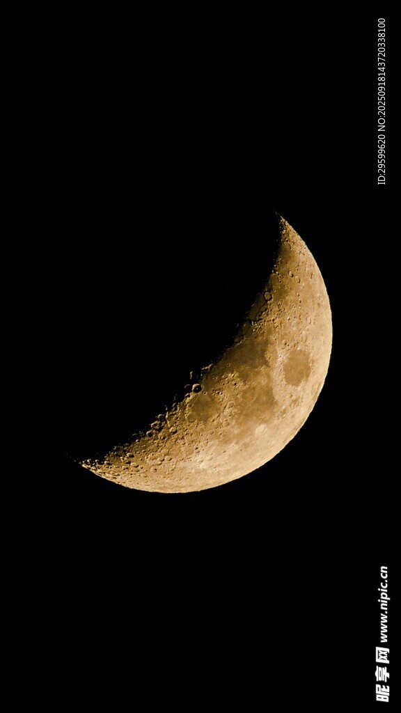 弯弯新月悬于夜空
