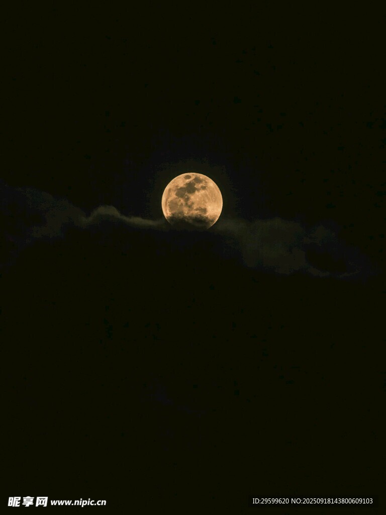 夜空中的金黄圆月