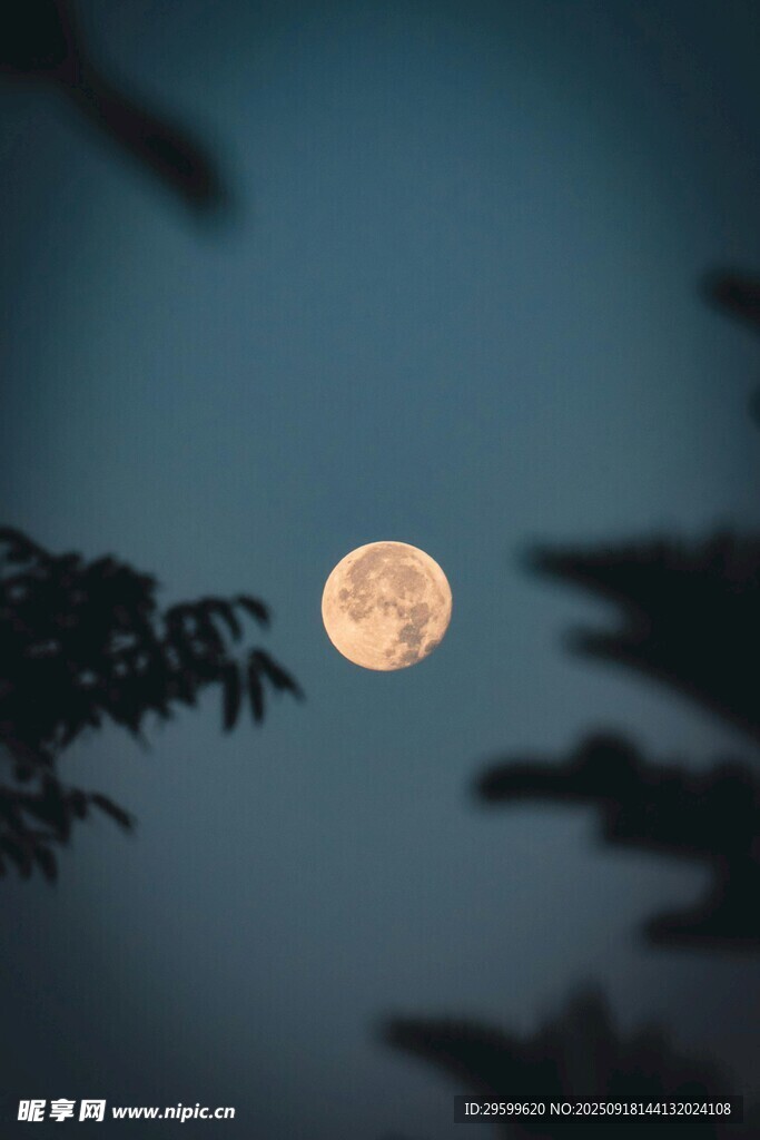 夜空下的朦胧圆月