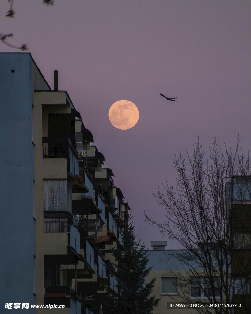 城市月夜景象
