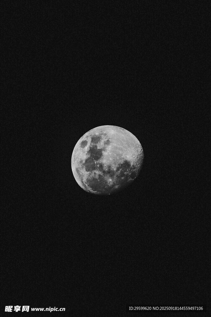 夜空中的明亮月亮