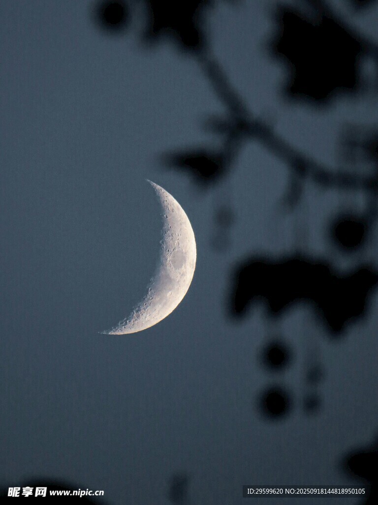 夜空中的弯弯新月