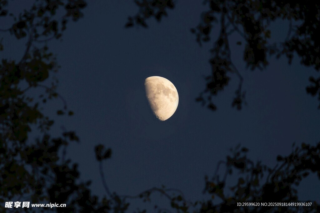 夜空下的半轮明月