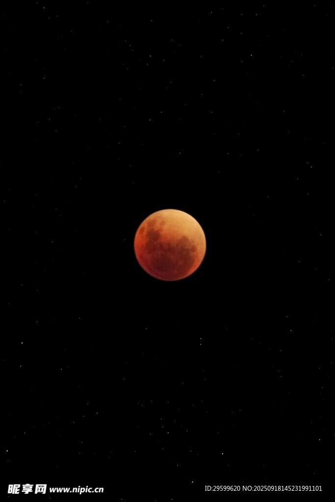 红月高悬夜空