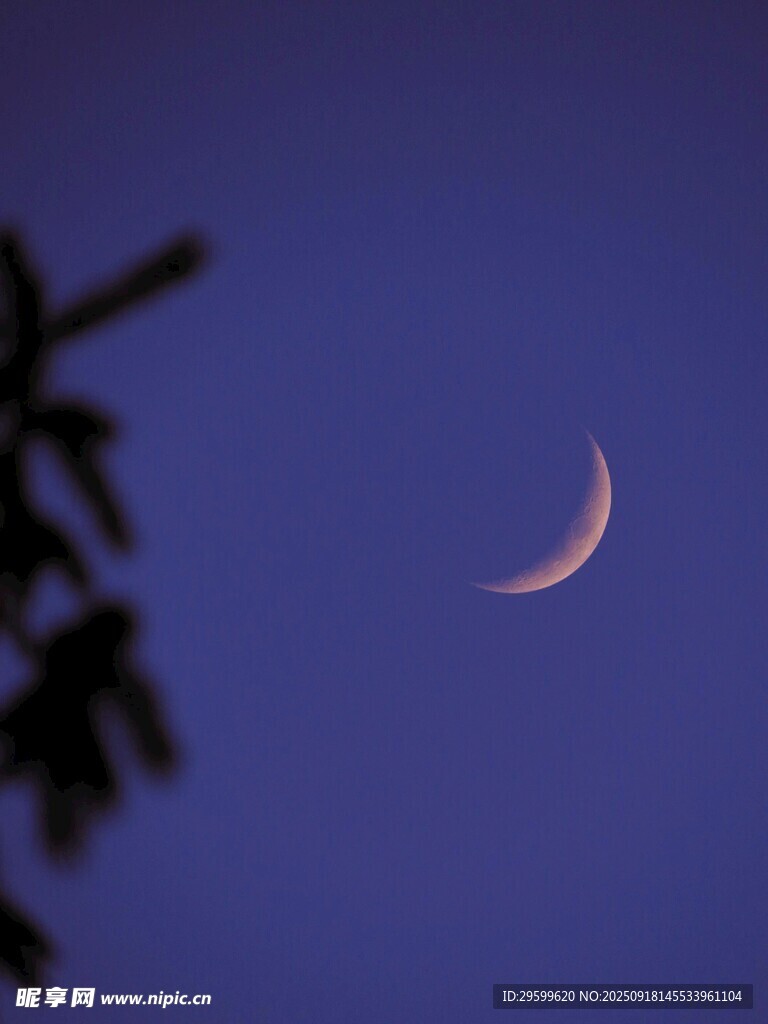 夜空中的弯弯新月