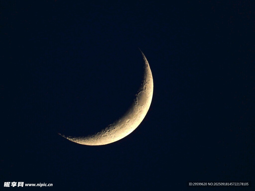 弯弯新月悬于夜空