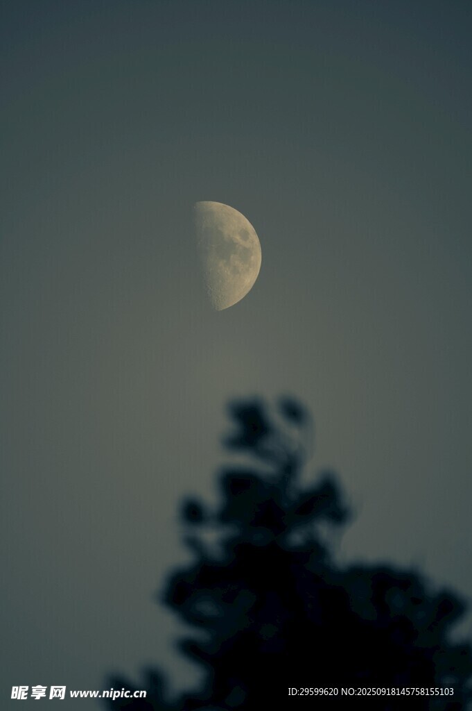 夜空下的弯弯月亮