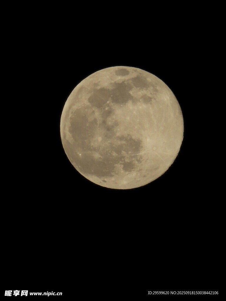 满月高悬夜空