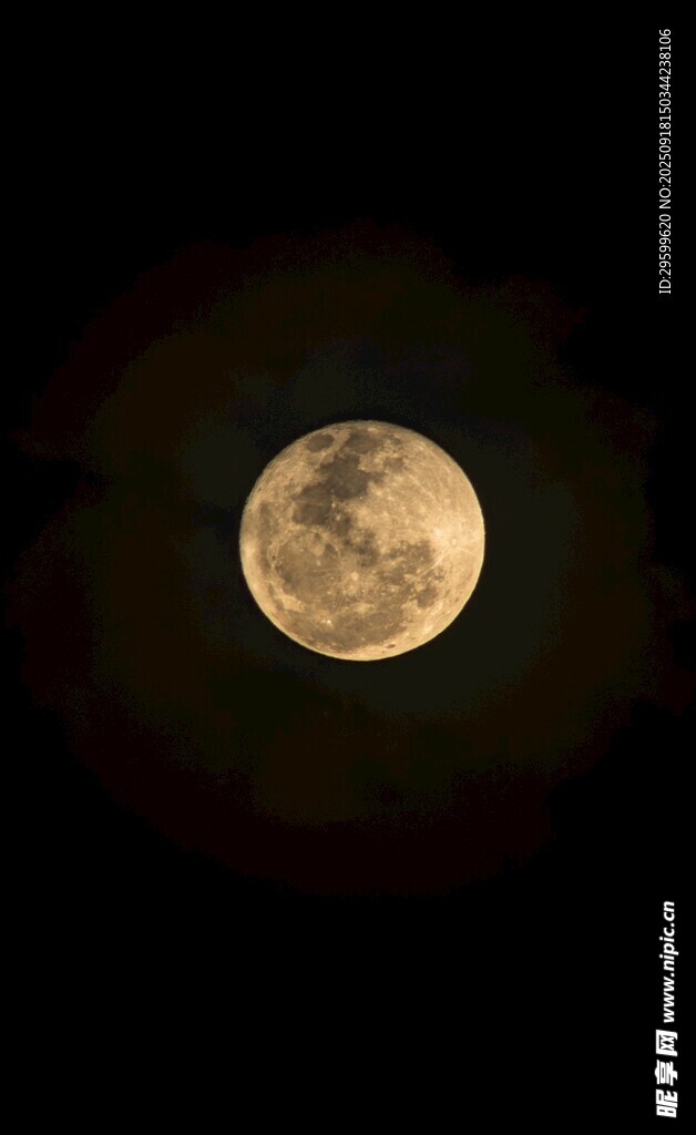 夜空中的明亮满月