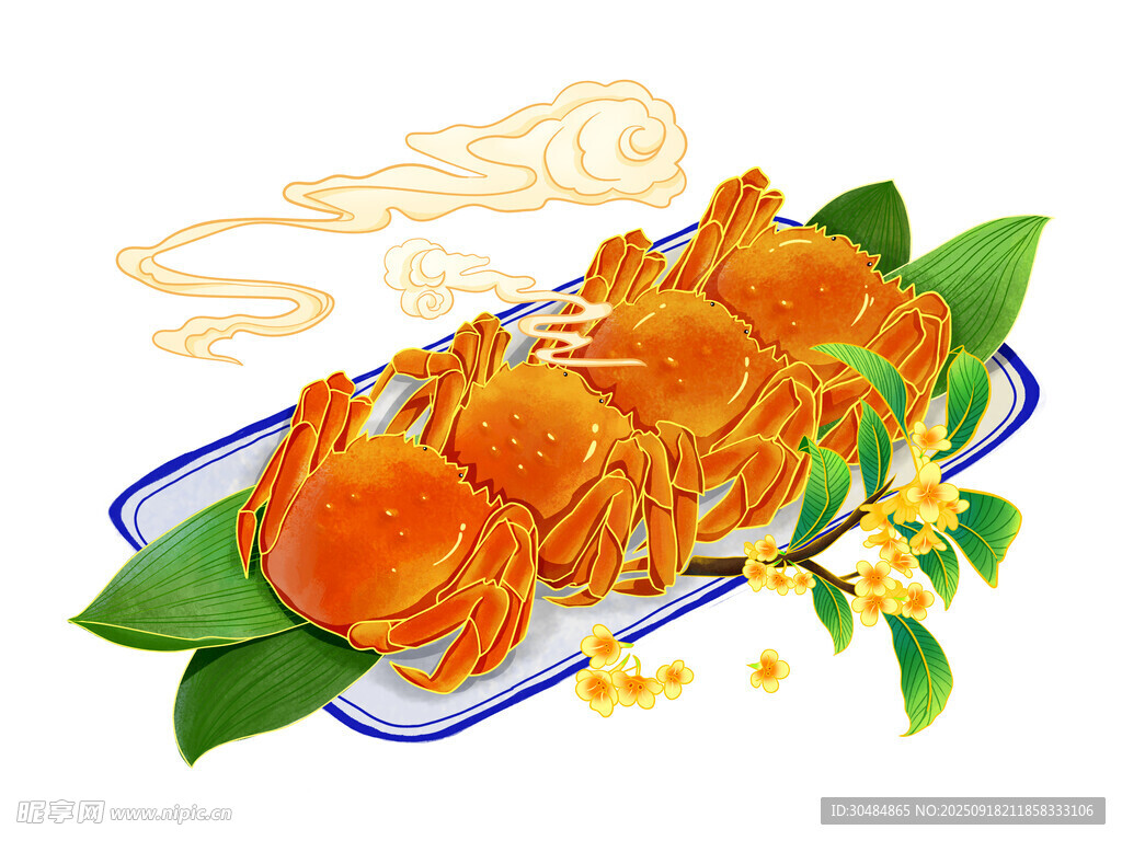 大闸蟹素材