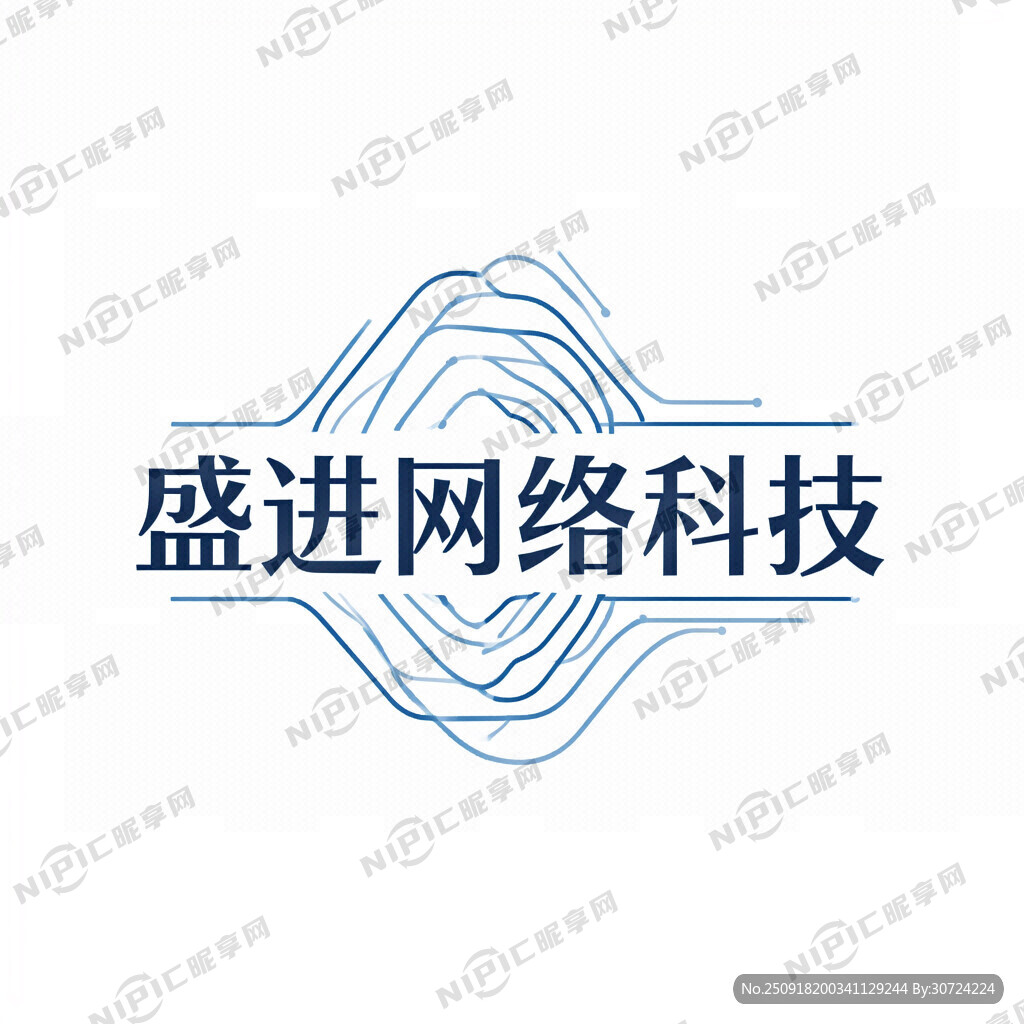 以“盛进网络科技”为主题