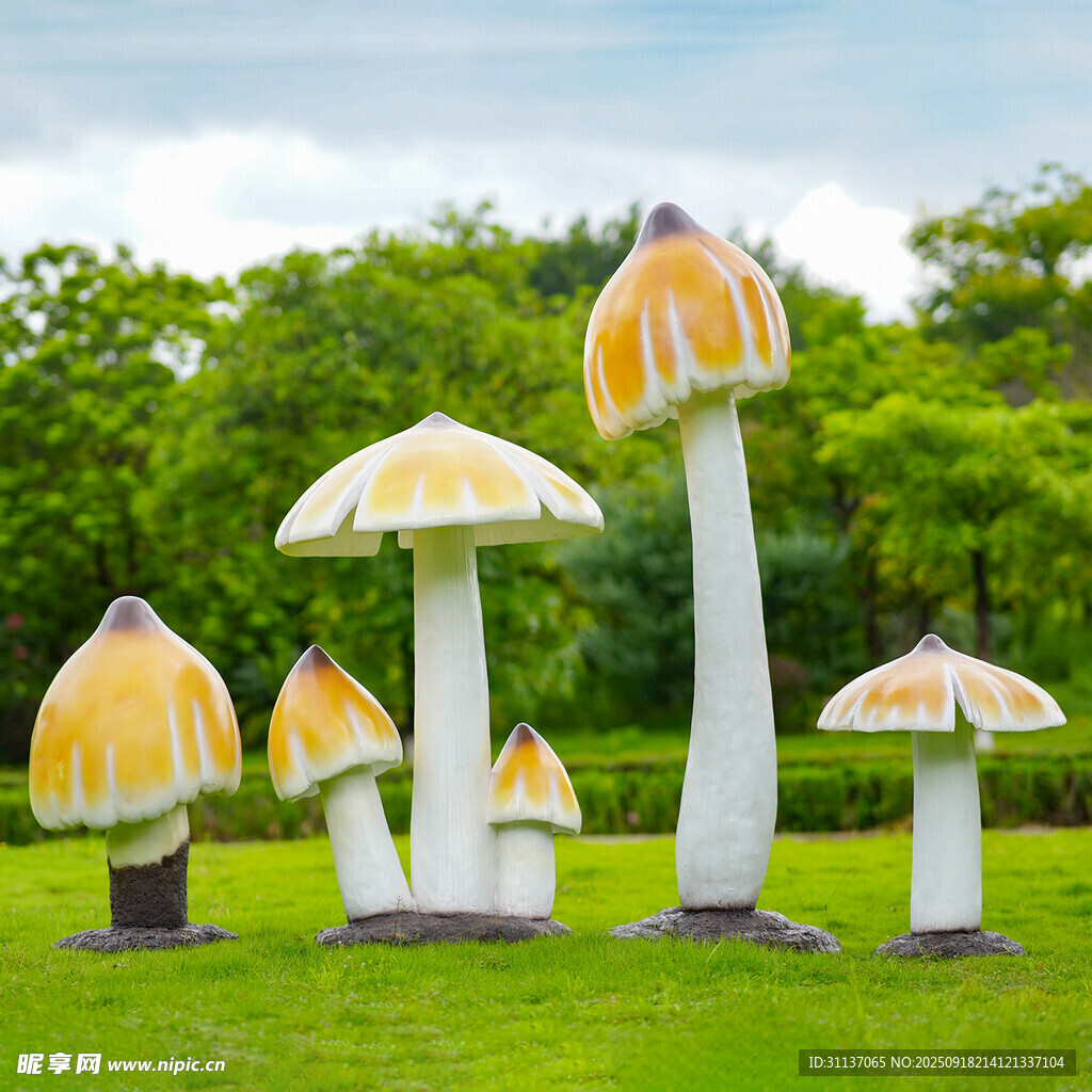 仿真野生菌蘑菇雕塑云南菌子摆件