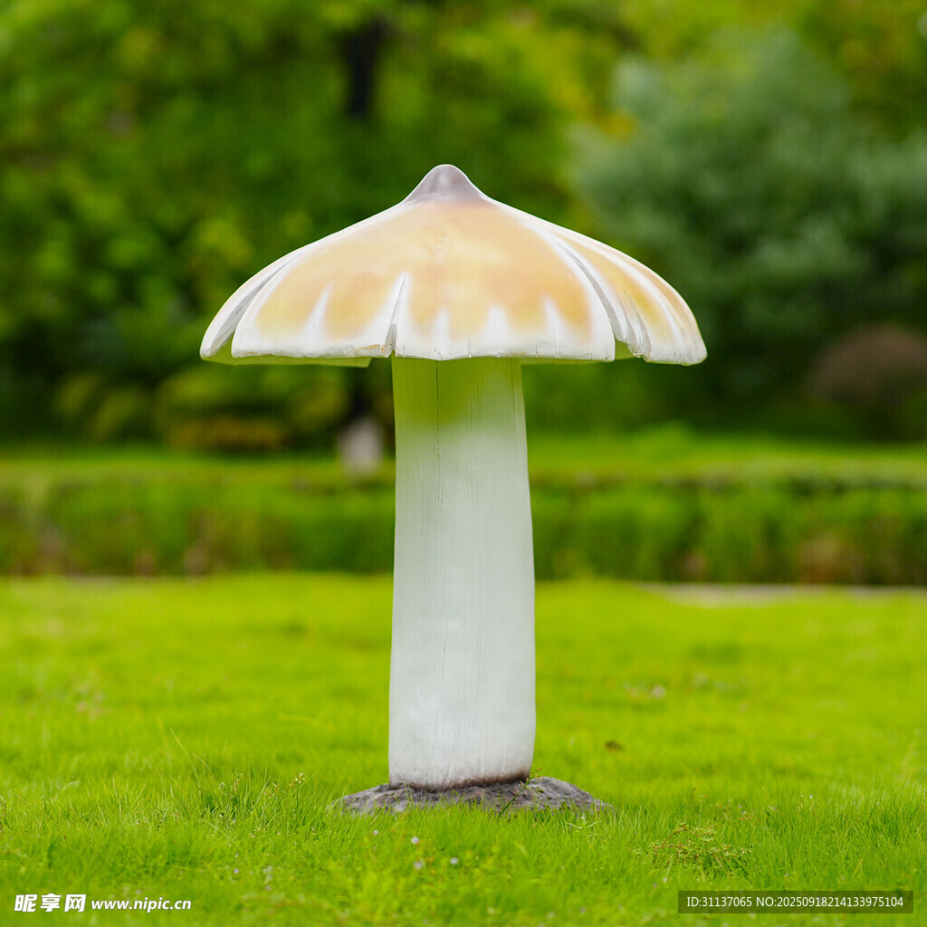 仿真野生菌蘑菇雕塑云南菌子摆件