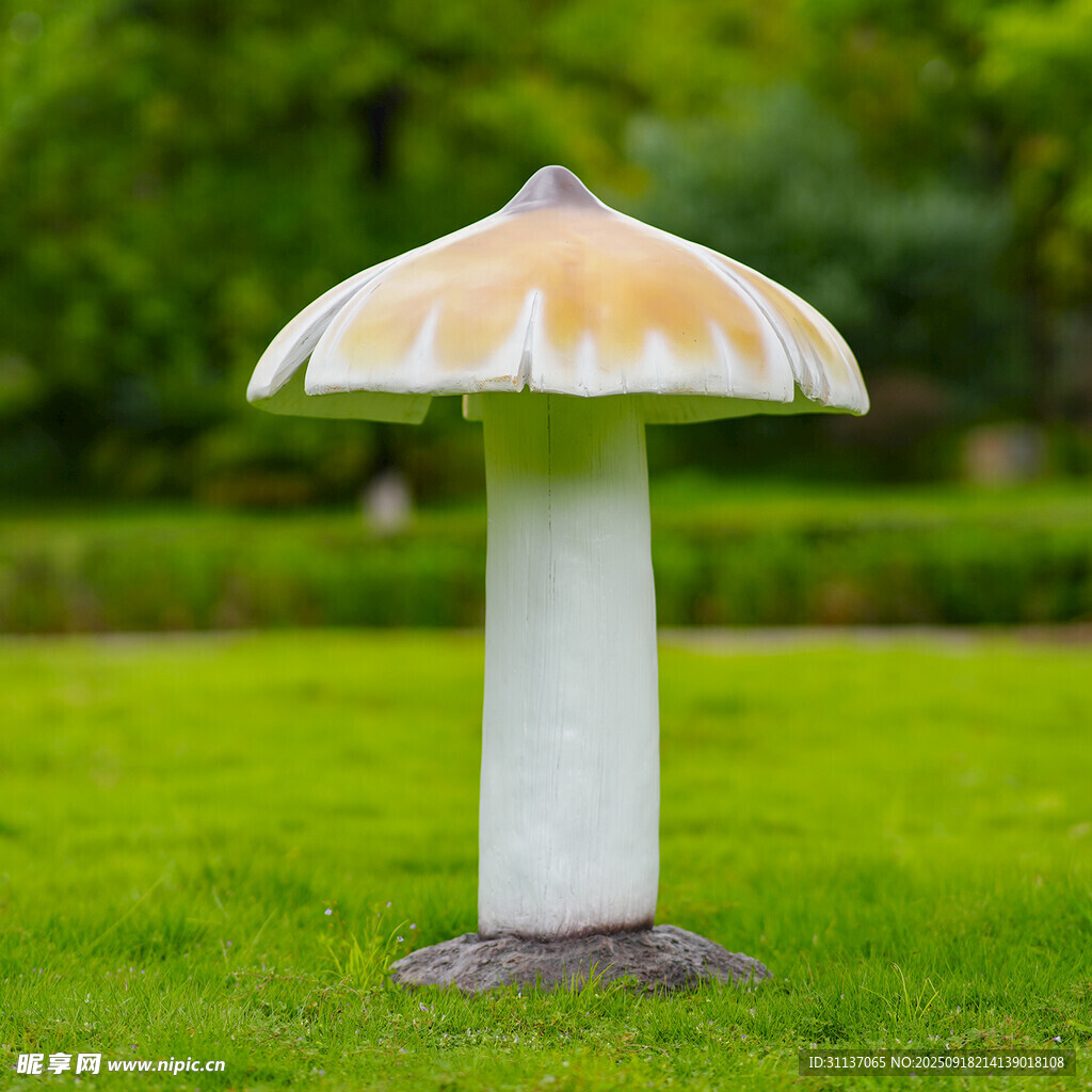 仿真野生菌蘑菇雕塑云南菌子摆件