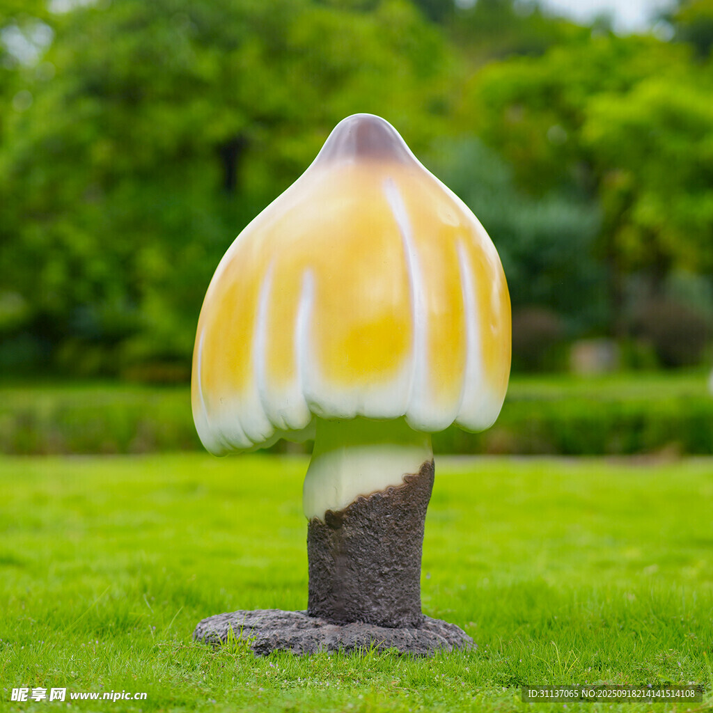 仿真野生菌蘑菇雕塑云南菌子摆件