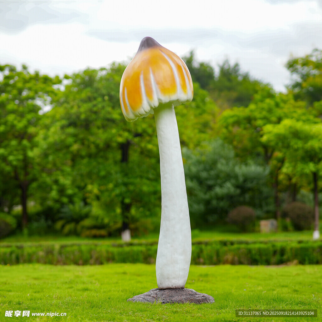 仿真野生菌蘑菇雕塑云南菌子摆件