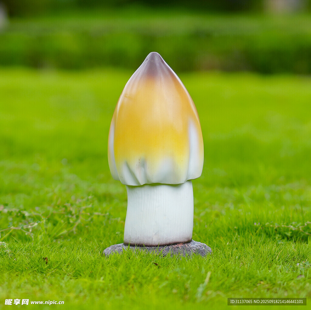 仿真野生菌蘑菇雕塑云南菌子摆件