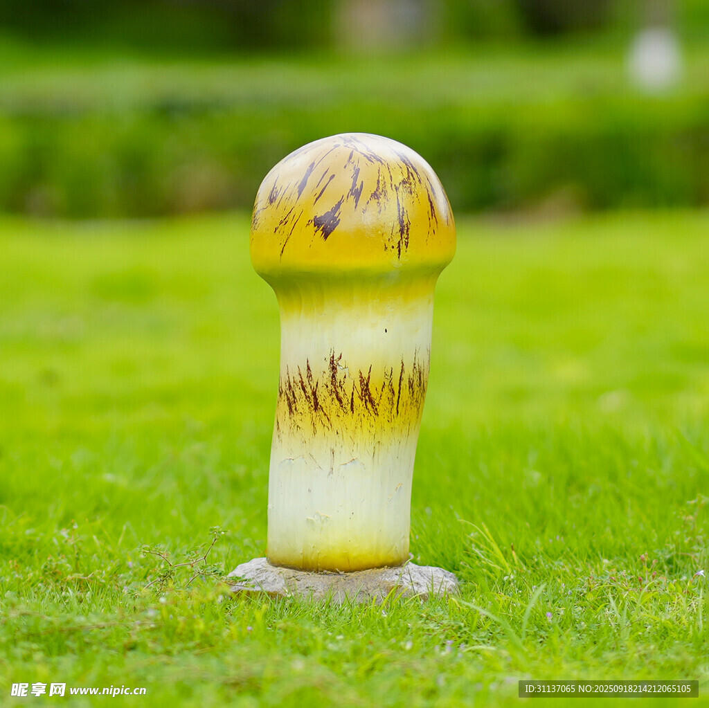 仿真野生菌蘑菇雕塑云南菌子摆件