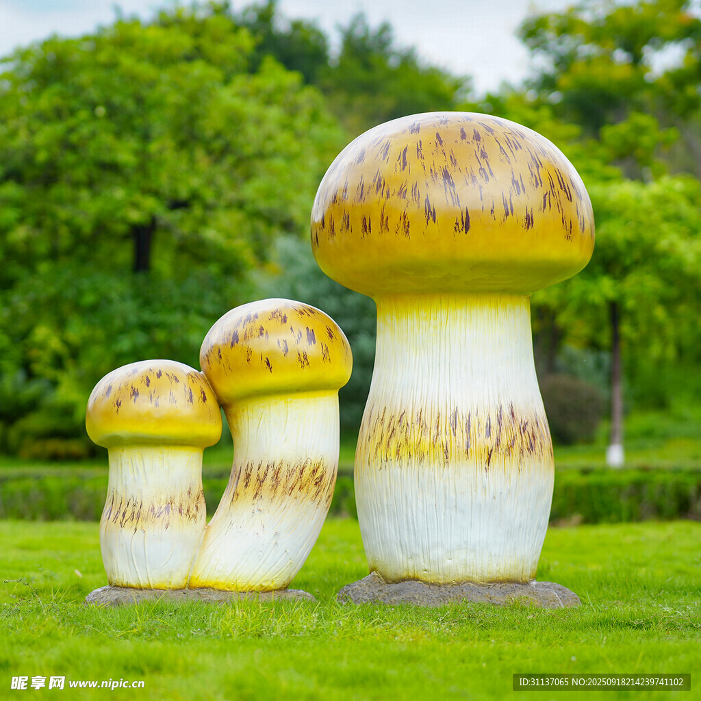 仿真野生菌蘑菇雕塑云南菌子摆件