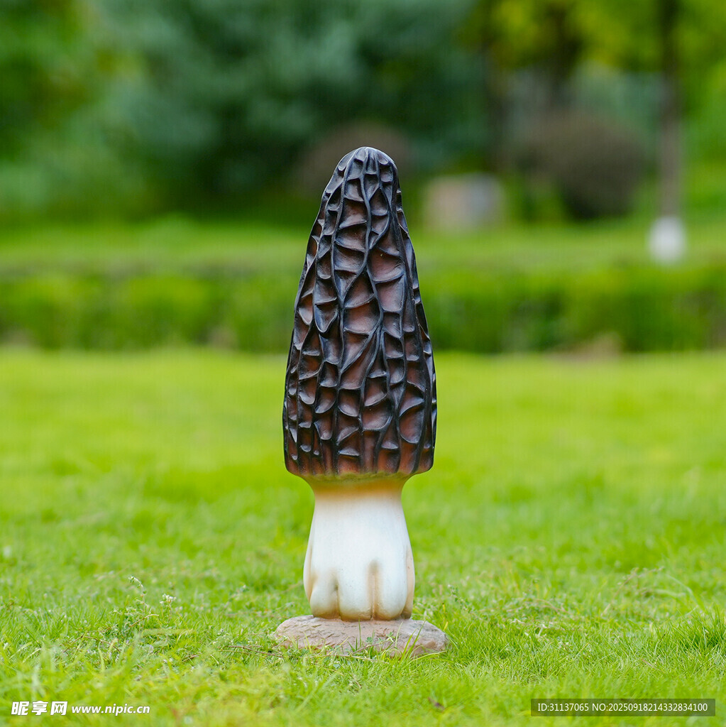 仿真野生菌蘑菇雕塑云南菌子摆件