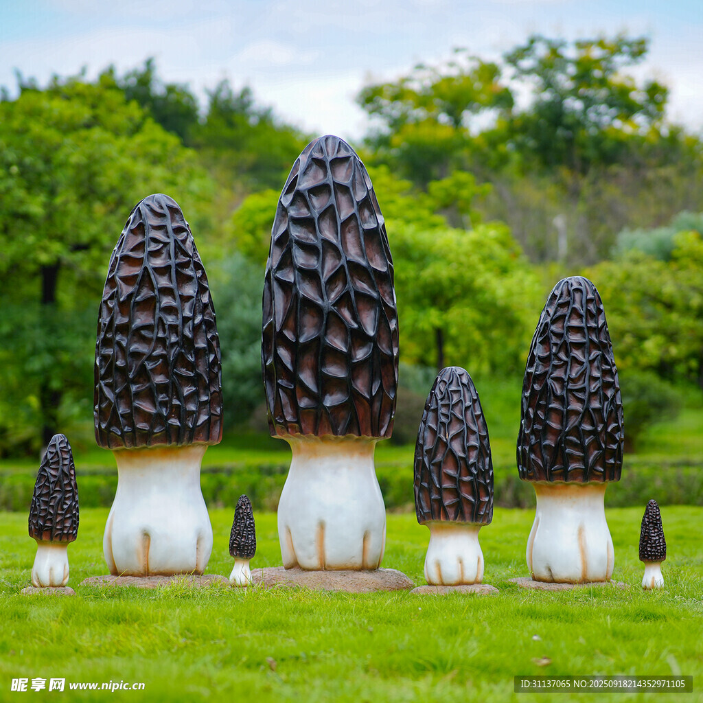 仿真野生菌蘑菇雕塑云南菌子摆件