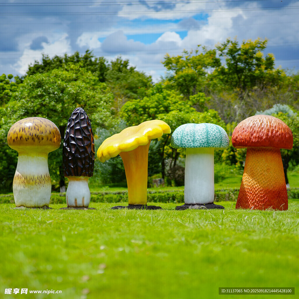 仿真野生菌蘑菇雕塑云南菌子摆件