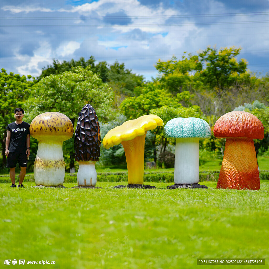 仿真野生菌蘑菇雕塑云南菌子摆件
