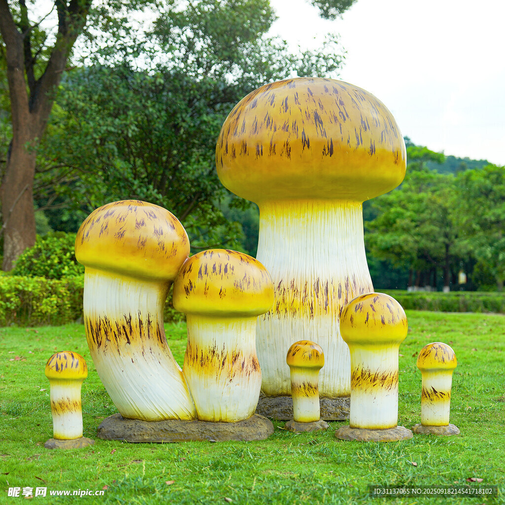 仿真野生菌蘑菇雕塑云南菌子摆件