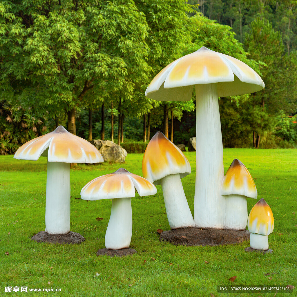 仿真野生菌蘑菇雕塑云南菌子模型