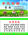 鸡蛋鸭蛋禽蛋名片