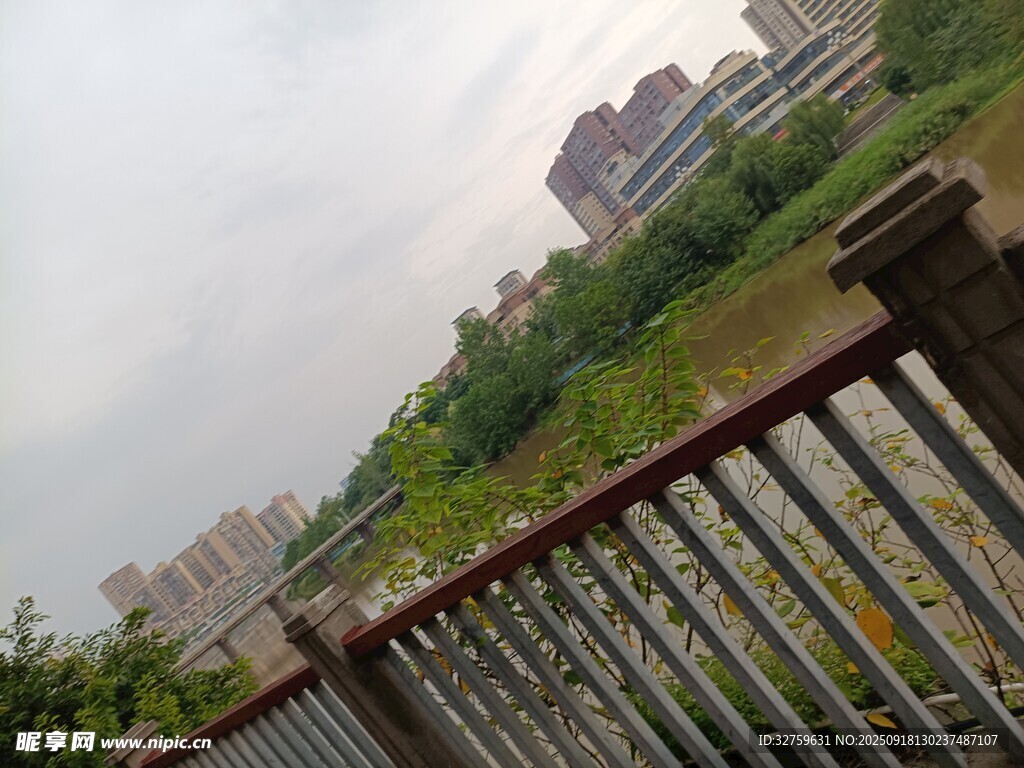 城市河畔栏杆与绿植景观