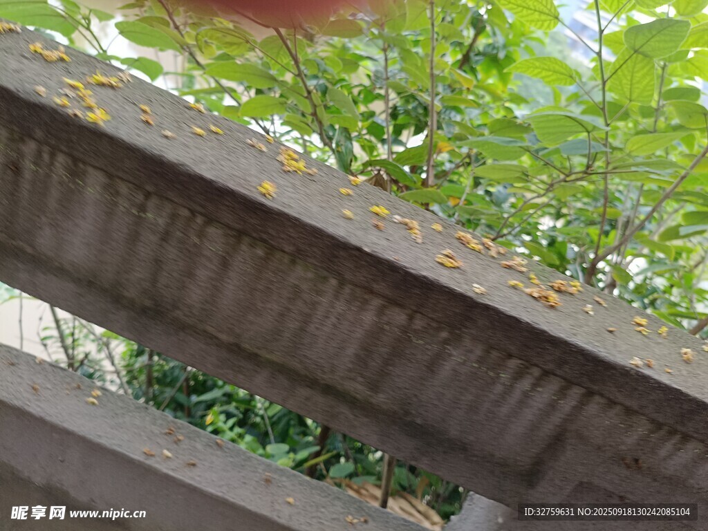 木质长椅旁绿植繁茂