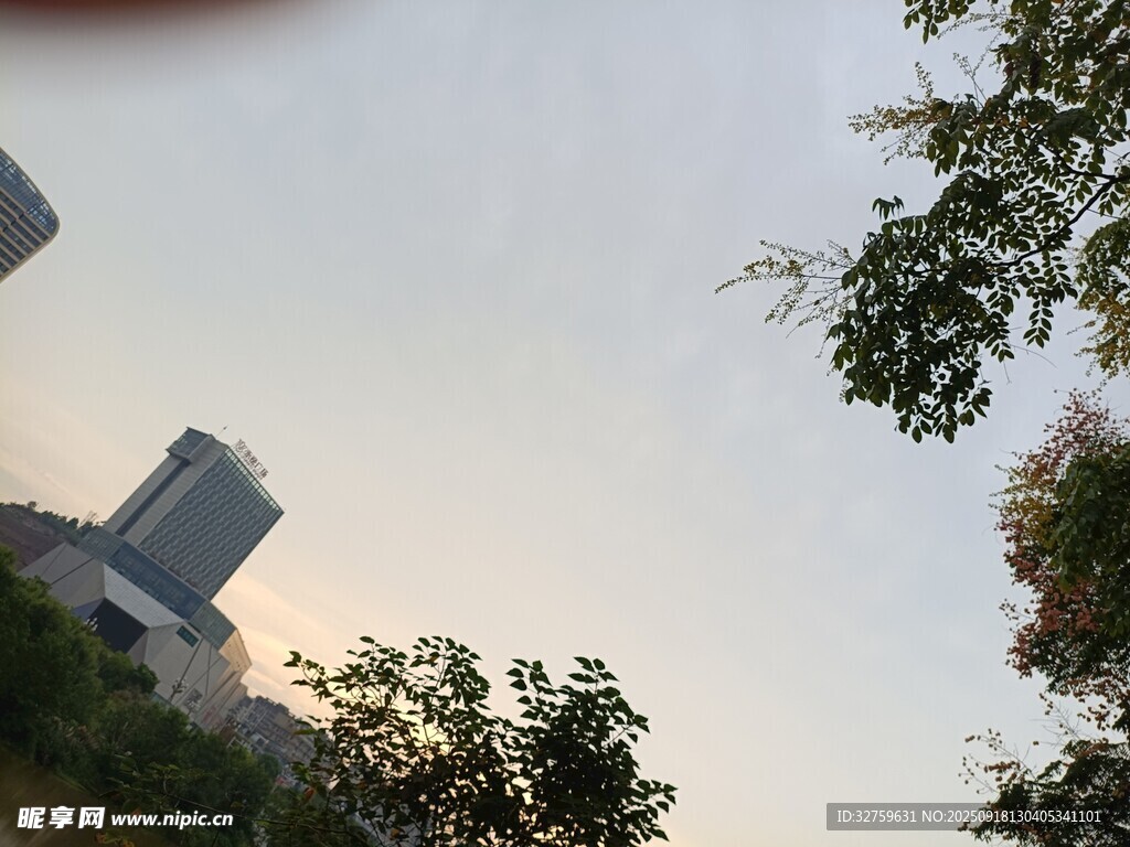 城市天际线与绿树相映