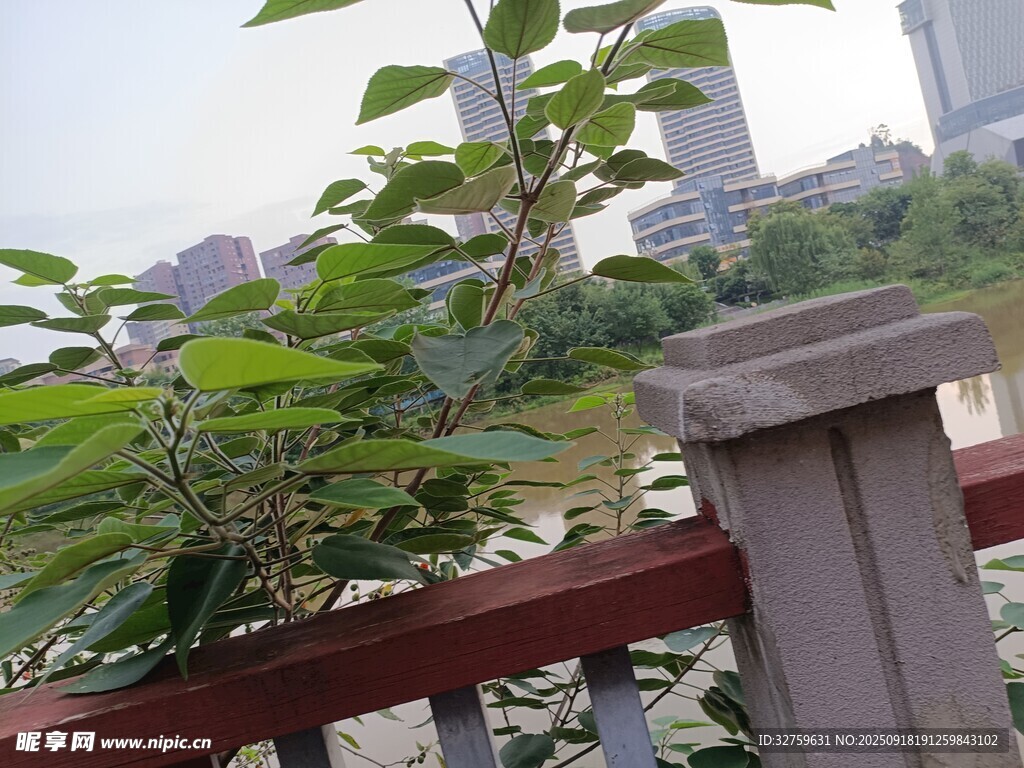 城市阳台绿植景观