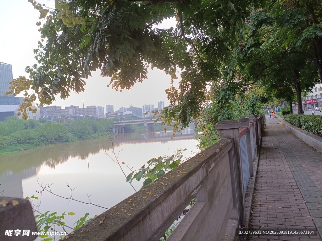 河畔林荫小道的静谧景致