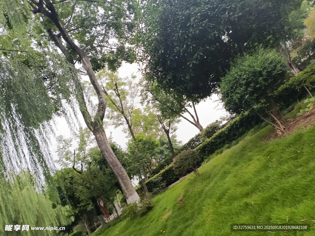 绿意盎然的户外园林景观