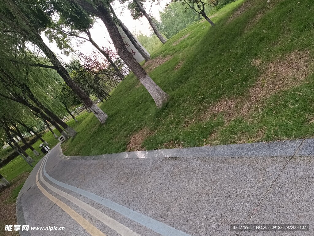 蜿蜒林间小路