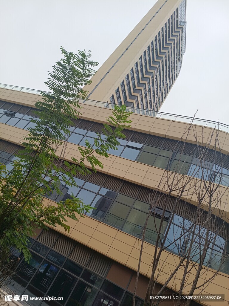 现代高楼旁的绿植景观