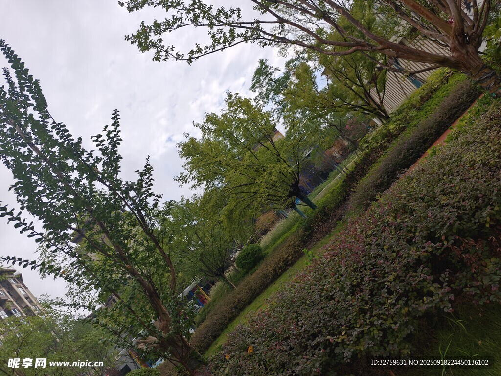 户外绿植景观