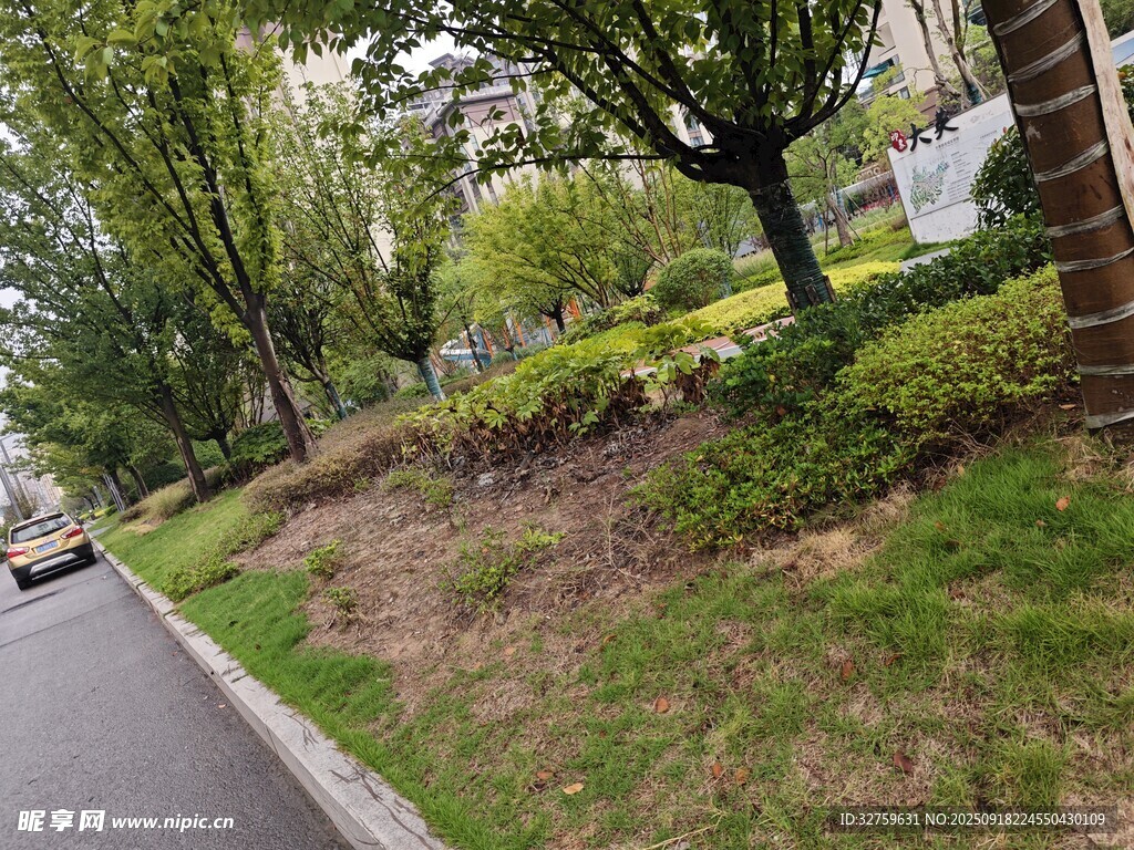 路边绿植景观