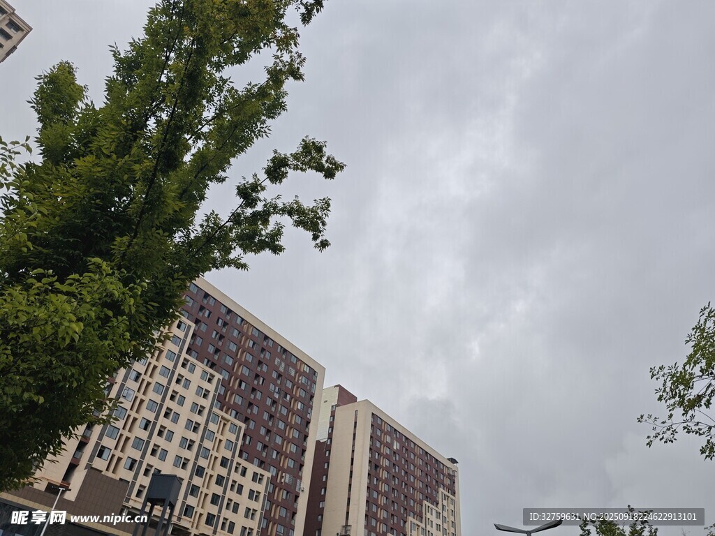 城市高楼与绿树景观