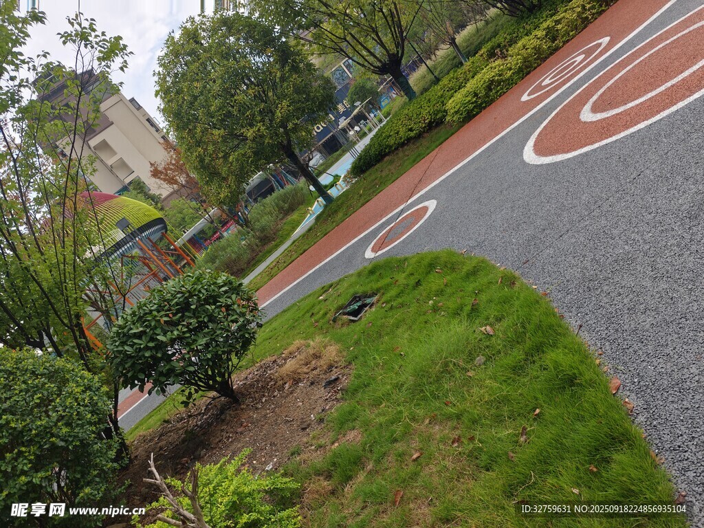 小区道路旁的绿植景观