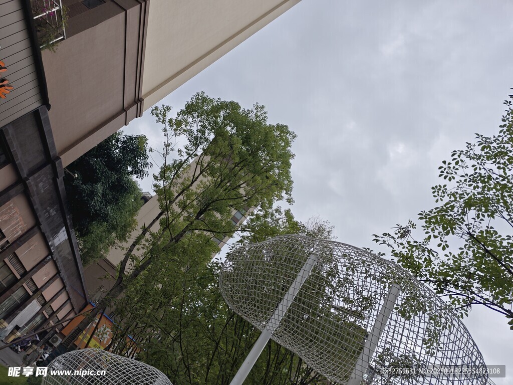 户外庭院绿植景观