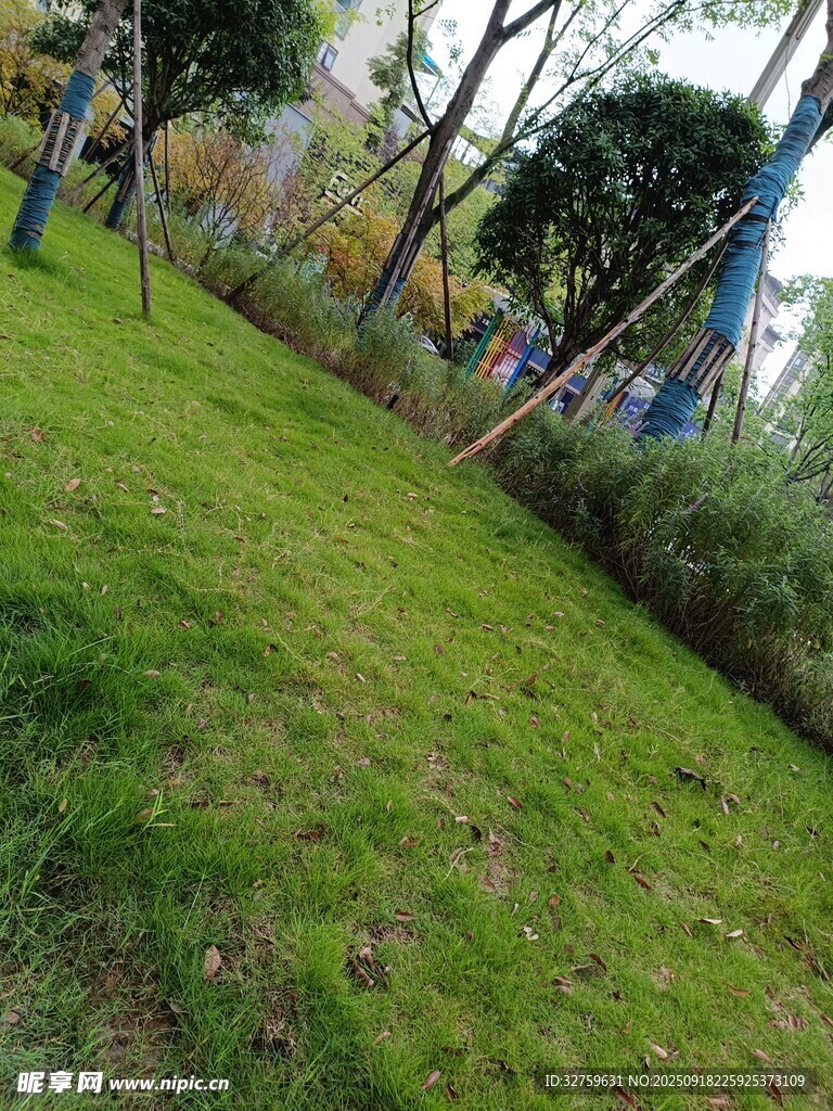 绿意盎然的户外斜坡景观