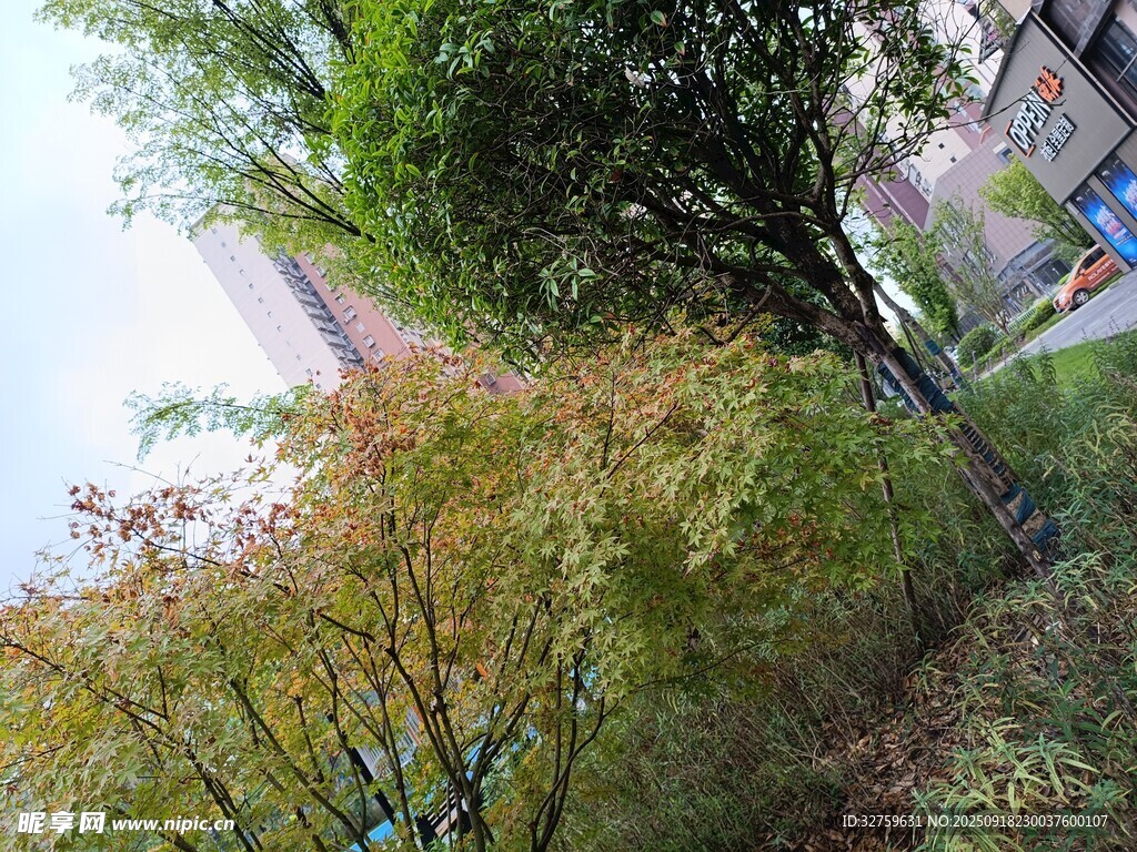 户外绿植景观