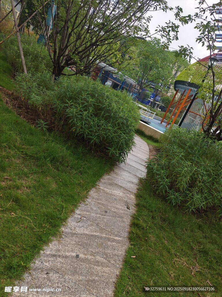 小径旁绿意盎然的公园景致
