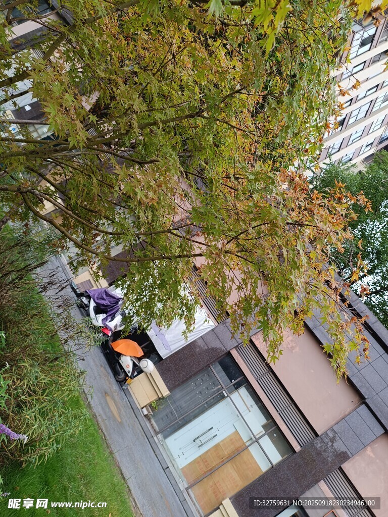 城市中休闲的户外骑行场景